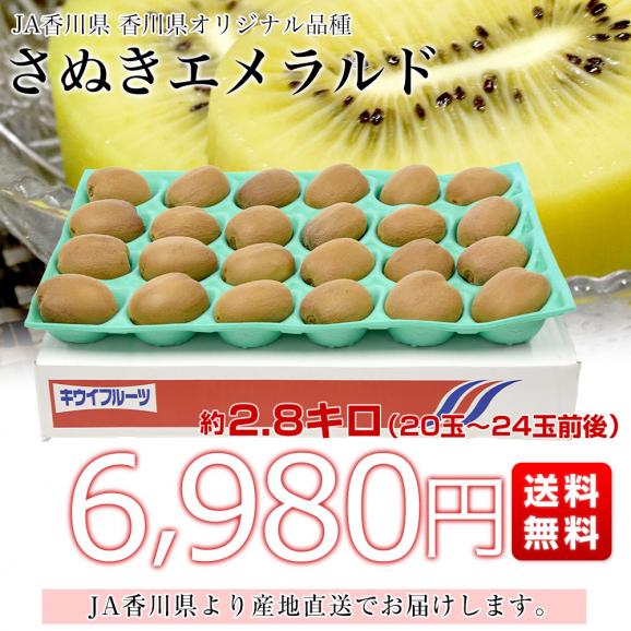 香川県より産地直送 JA香川県 さぬきエメラルド 約2.8キロ(20から24玉前後) 国産キウイフルーツ 送料無料 きうい キウイフルーツ03