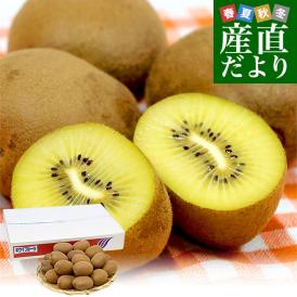 香川県より産地直送 JA香川県 さぬきエメラルド 小玉 約2.2キロ(28玉) 国産キウイフルーツ 送料無料 きうい キウイフルーツ