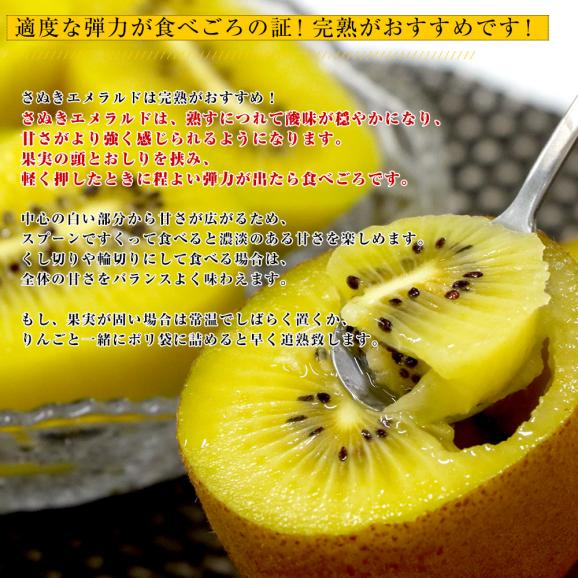 香川県より産地直送 JA香川県 さぬきエメラルド 小玉 約2.2キロ(28玉) 国産キウイフルーツ 送料無料 きうい キウイフルーツ05