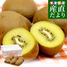 香川県より産地直送 JA香川県 さぬきエメラルド 約1キロ(6玉から9玉前後) 国産キウイフルーツ 送料無料 きうい キウイフルーツ