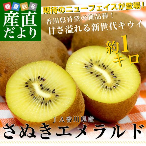 香川県より産地直送 JA香川県 さぬきエメラルド 約1キロ(6玉から9玉前後) 国産キウイフルーツ 送料無料 きうい キウイフルーツ02