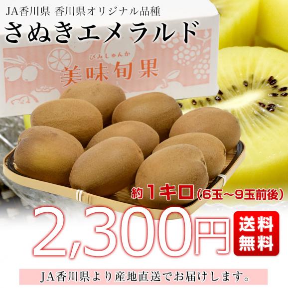 香川県より産地直送 JA香川県 さぬきエメラルド 約1キロ(6玉から9玉前後) 国産キウイフルーツ 送料無料 きうい キウイフルーツ03