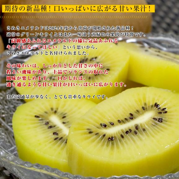 香川県より産地直送 JA香川県 さぬきエメラルド 約1キロ(6玉から9玉前後) 国産キウイフルーツ 送料無料 きうい キウイフルーツ04