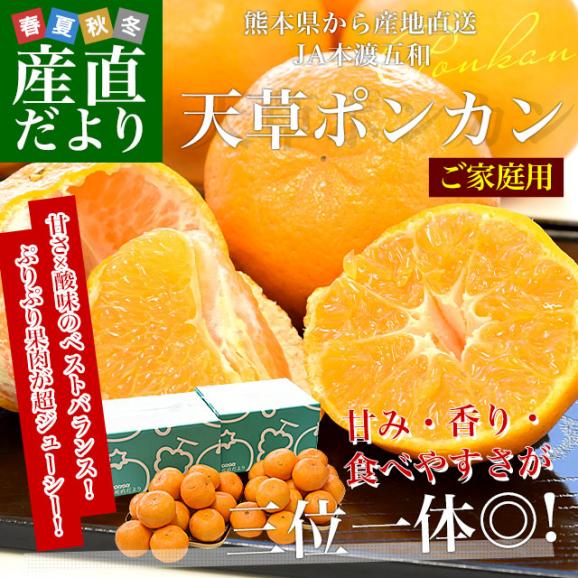 【家計応援価格!】熊本県から産地直送 JA本渡五和 天草ポンカン ご家庭用 2LからSサイズ 約2.5キロ×2箱 (合計30玉から50玉前後) 送料無料 ぽんかん 柑橘02