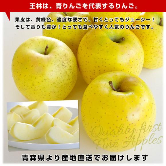 青森県より産地直送 高木りんご商店 王林　秀A 品 3キロ（10玉から13玉） 送料無料 林檎 おうりん  りんご リンゴ04