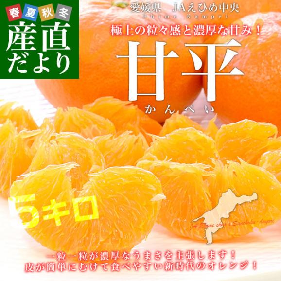 愛媛県産 JAえひめ中央 甘平 青〇品以上 4Lから5L 約5キロ(10玉から15玉前後) 送料無料 柑橘 オレンジ カンペイ02