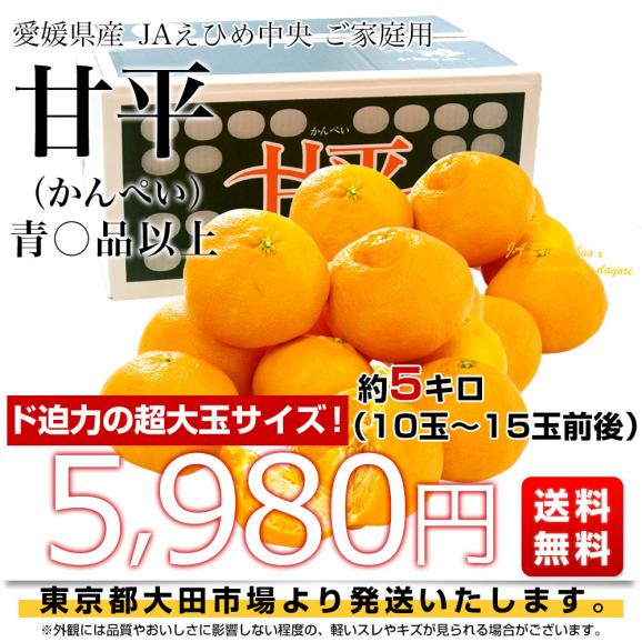 愛媛県産 JAえひめ中央 甘平 青〇品以上 4Lから5L 約5キロ(10玉から15玉前後) 送料無料 柑橘 オレンジ カンペイ03