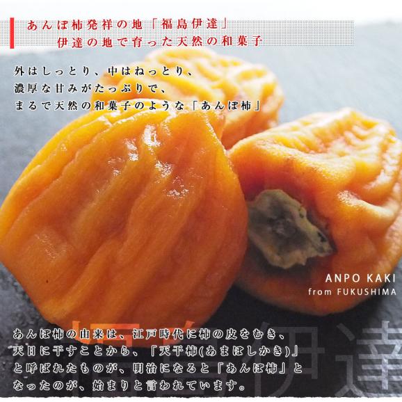 福島県産 伊達果実農業協同組合 あんぽ柿 3Lから4L 約1.3キロ(230g×6P) 送料無料 あんぽ柿 蜂屋あんぽ柿 干し柿 ホシガキ05