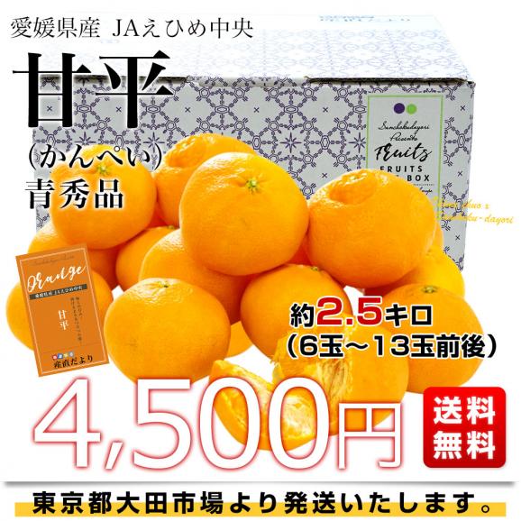 愛媛県産 JAえひめ中央 甘平 青秀品 3LからL 約2.5キロ(6玉から13玉前後) 送料無料 柑橘 オレンジ カンペイ02