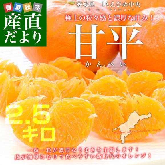 愛媛県産 JAえひめ中央 甘平 青秀品 3LからL 約2.5キロ(6玉から13玉前後) 送料無料 柑橘 オレンジ カンペイ03