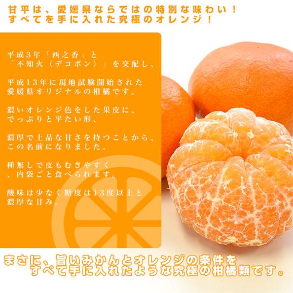 愛媛県産 JAえひめ中央 甘平 青秀品 3LからL 約2.5キロ(6玉から13玉前後) 送料無料 柑橘 オレンジ カンペイ05