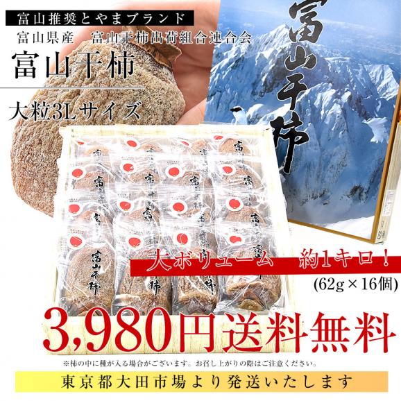 【家計応援価格!】富山県産 富山干柿出荷組合連合会 富山干柿 3L 化粧箱990g(62g×16個入り) 送料無料 干し柿 柿03