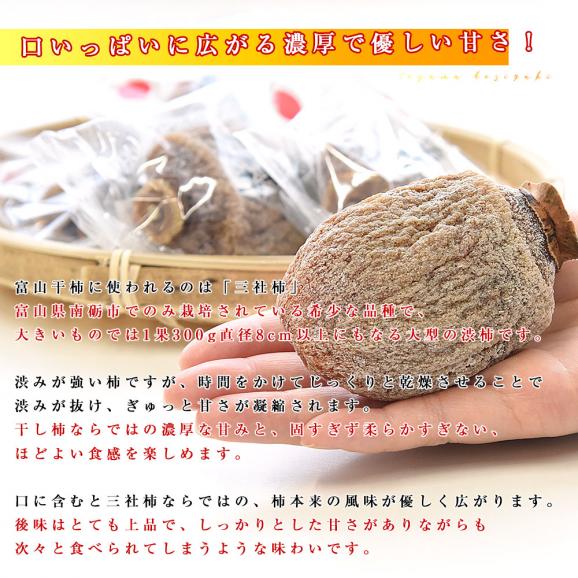 【家計応援価格!】富山県産 富山干柿出荷組合連合会 富山干柿 3L 化粧箱990g(62g×16個入り) 送料無料 干し柿 柿04