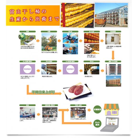 【家計応援価格!】富山県産 富山干柿出荷組合連合会 富山干柿 3L 化粧箱990g(62g×16個入り) 送料無料 干し柿 柿06