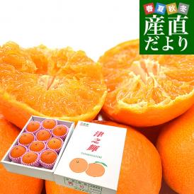 宮崎県 JAみやざき はまゆう地区本部 津之輝(つのかがやき) 秀品 化粧箱 3LからLサイズ 約2キロ（9玉から12玉）送料無料 柑橘 津の輝