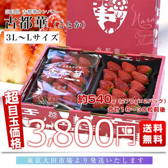 奈良県 古都華カンパニー 古都華（ことか） 3LからLサイズ 合計約540g（270g&times;2パック）送料無料 いちご 苺 奈良いちご03