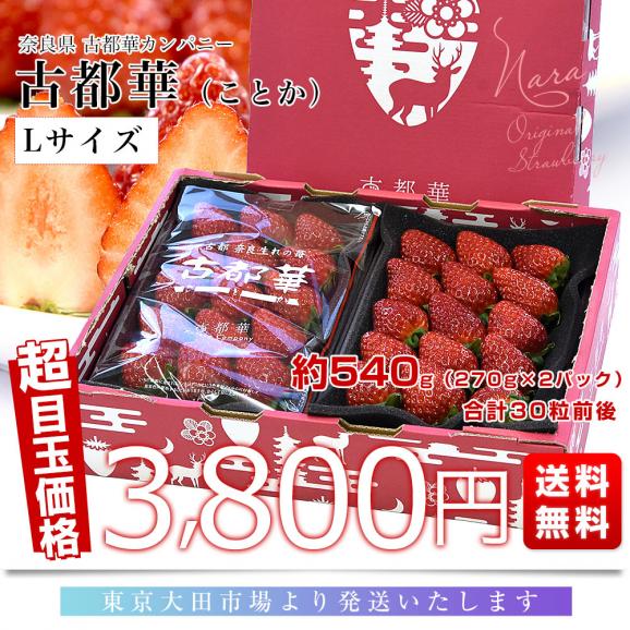奈良県 古都華カンパニー 古都華(ことか) Lサイズ 合計約540g(270g×2パック)合計30粒前後 送料無料 いちご 苺 奈良いちご03