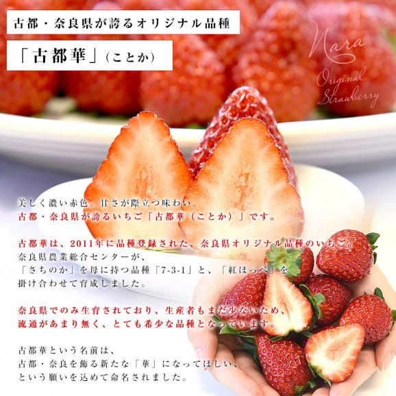奈良県 古都華カンパニー 古都華(ことか) Lサイズ 合計約540g(270g×2パック)合計30粒前後 送料無料 いちご 苺 奈良いちご04