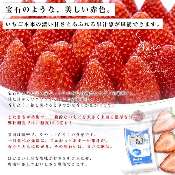 奈良県 古都華カンパニー 古都華(ことか) Lサイズ 合計約540g(270g×2パック)合計30粒前後 送料無料 いちご 苺 奈良いちご05