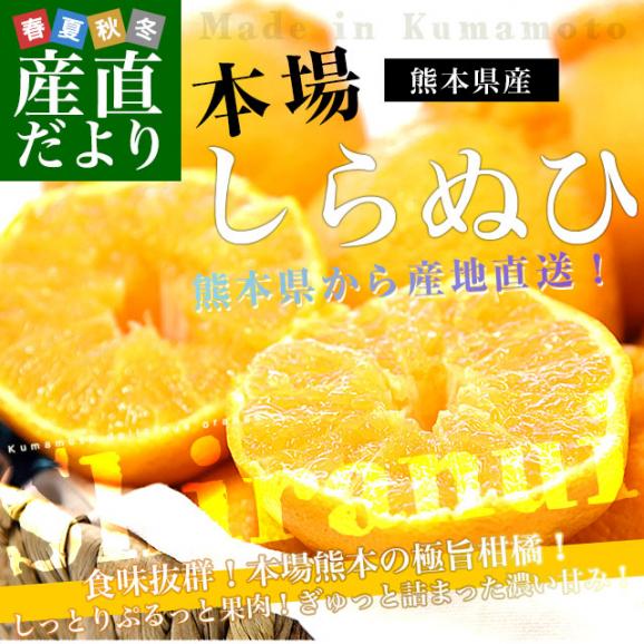 【家計応援価格！】熊本県から産地直送 熊本県産 しらぬい(不知火) 優品以上 3LからMサイズ 約2.3キロ&times;2箱(合計15玉から28玉前後) 送料無料 しらぬひ 柑橘02