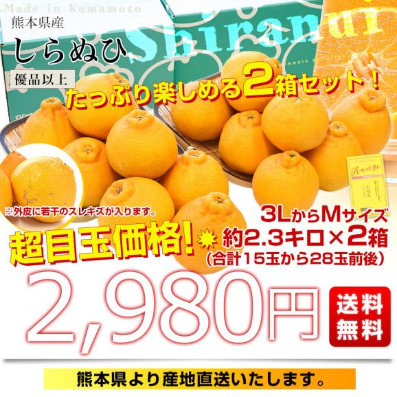 【家計応援価格！】熊本県から産地直送 熊本県産 しらぬい(不知火) 優品以上 3LからMサイズ 約2.3キロ&times;2箱(合計15玉から28玉前後) 送料無料 しらぬひ 柑橘03