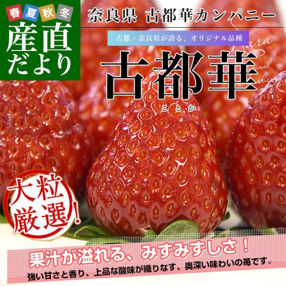 奈良県 古都華カンパニー 古都華(ことか) 化粧箱 約550g (11粒から15粒前後) 送料無料 いちご 苺 奈良いちご02