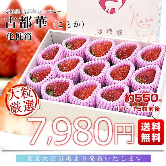 奈良県 古都華カンパニー 古都華(ことか) 化粧箱 約550g (11粒から15粒前後) 送料無料 いちご 苺 奈良いちご03