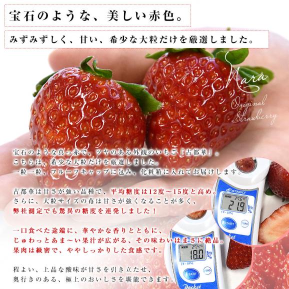 奈良県 古都華カンパニー 古都華(ことか) 化粧箱 約550g (11粒から15粒前後) 送料無料 いちご 苺 奈良いちご05