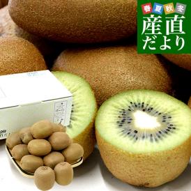 福岡県 JAふくおか八女 博多甘熟娘（はかたうれっこ）約1.8キロ（5玉から7玉入り×2袋） 送料無料 キウイ グリーンキウイ ヘイワード 市場発送