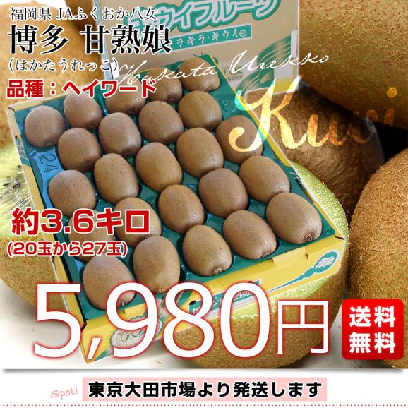 福岡県 JAふくおか八女 博多甘熟娘（はかたうれっこ）約3.6キロ（20玉から27玉） 送料無料 キウイ グリーンキウイ ヘイワード 市場発送03