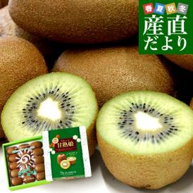 福岡県 JAふくおか八女 博多甘熟娘（はかたうれっこ）約1.8キロ 化粧箱（15玉入り）送料無料 キウイ グリーンキウイ ヘイワード