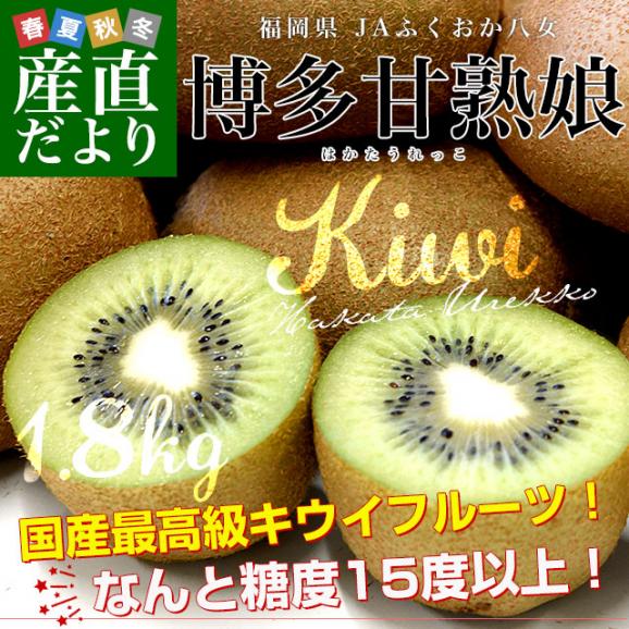 福岡県 JAふくおか八女 博多甘熟娘（はかたうれっこ）約1.8キロ 化粧箱（15玉入り）送料無料 キウイ グリーンキウイ ヘイワード02