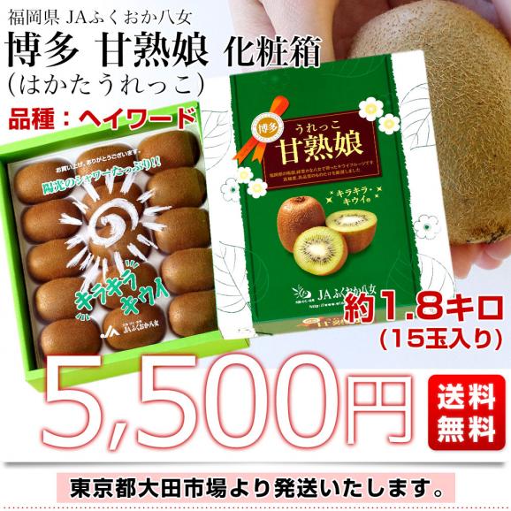 福岡県 JAふくおか八女 博多甘熟娘（はかたうれっこ）約1.8キロ 化粧箱（15玉入り）送料無料 キウイ グリーンキウイ ヘイワード03