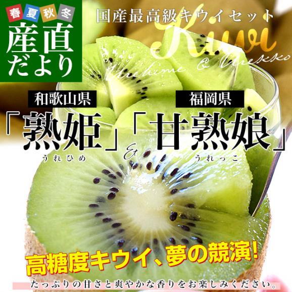 【キウイセット】和歌山県JA紀の里「熟姫(うれひめ)」+福岡県JAふくおか八女「博多甘熟娘(はかたうれっこ)」合計約1.8キロ（5玉から7玉&times;2袋）送料無料 市場発送02