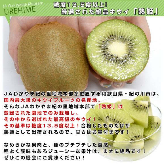 【キウイセット】和歌山県JAわかやま紀の里地域本部 「熟姫(うれひめ)」+福岡県JAふくおか八女「博多甘熟娘(はかたうれっこ)」合計約1.8キロ(5玉から7玉×2袋)送料無料 市場発送05