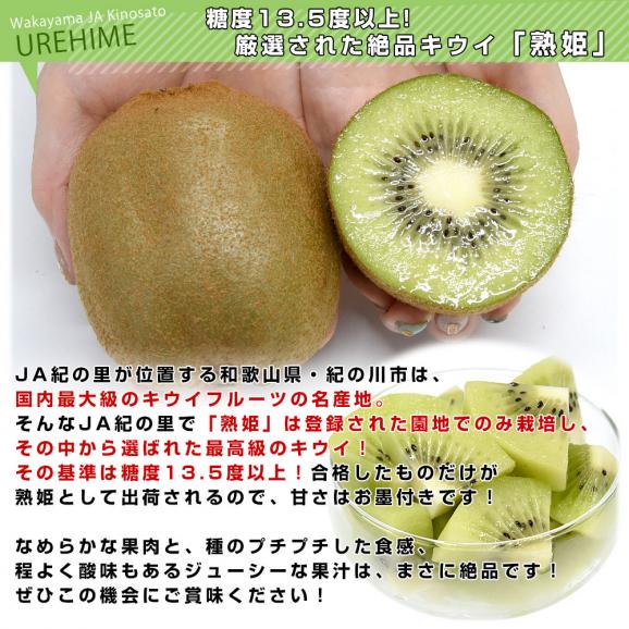 【キウイセット】和歌山県JA紀の里「熟姫(うれひめ)」+福岡県JAふくおか八女「博多甘熟娘(はかたうれっこ)」合計約1.8キロ（5玉から7玉&times;2袋）送料無料 市場発送05