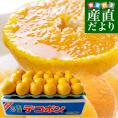 愛媛県 JAにしうわ デコポン 優品 3LからLサイズ 約5キロ(18玉から24玉前後)送料無料 でこぽん 柑橘 オレンジ 西宇和 八幡浜