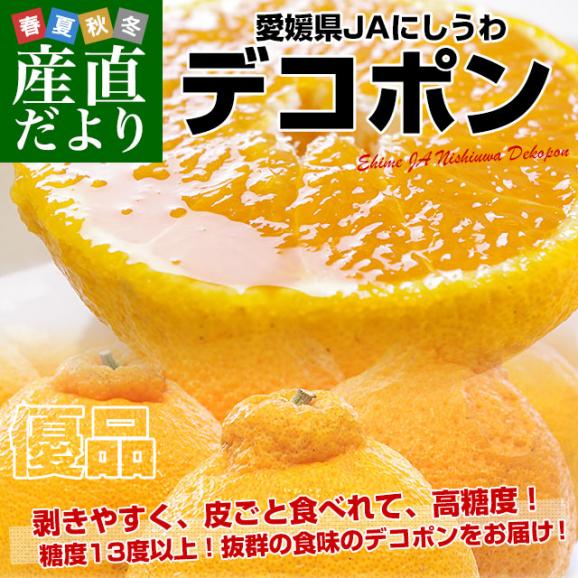 愛媛県 JAにしうわ デコポン 優品 3LからLサイズ 約5キロ（18玉から24玉前後）送料無料 でこぽん 柑橘 オレンジ 西宇和 八幡浜02