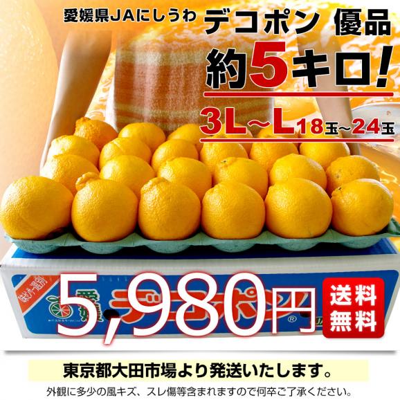 愛媛県 JAにしうわ デコポン 優品 3LからLサイズ 約5キロ（18玉から24玉前後）送料無料 でこぽん 柑橘 オレンジ 西宇和 八幡浜03