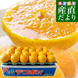愛媛県 JAにしうわ デコポン 良品 3LからLサイズ 約5キロ（18玉から24玉前後）送料無料 でこぽん 柑橘 オレンジ 西宇和 八幡浜