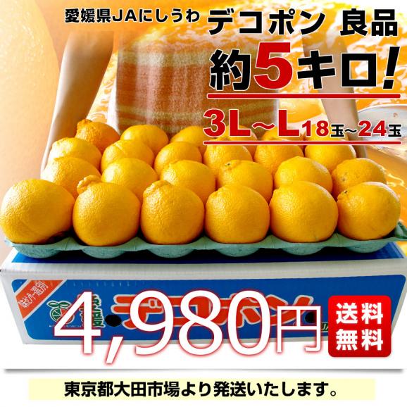 愛媛県 JAにしうわ デコポン 良品 3LからLサイズ 約5キロ（18玉から24玉前後）送料無料 でこぽん 柑橘 オレンジ 西宇和 八幡浜03