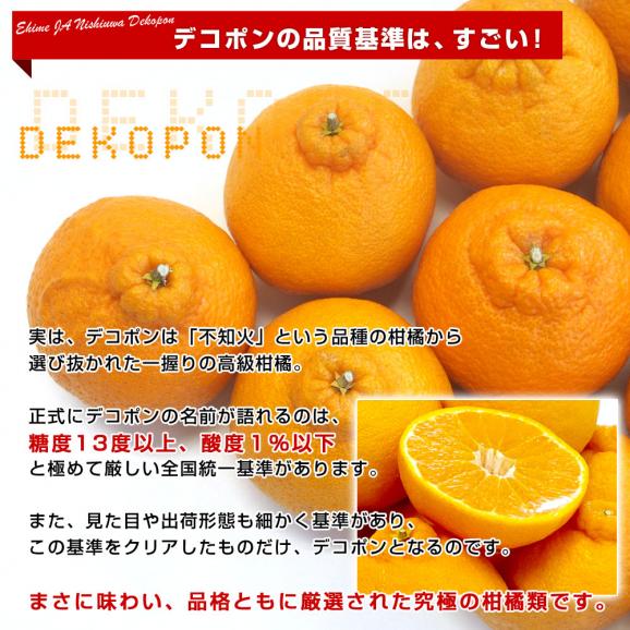 愛媛県 JAにしうわ デコポン 良品 3LからLサイズ 約5キロ（18玉から24玉前後）送料無料 でこぽん 柑橘 オレンジ 西宇和 八幡浜04