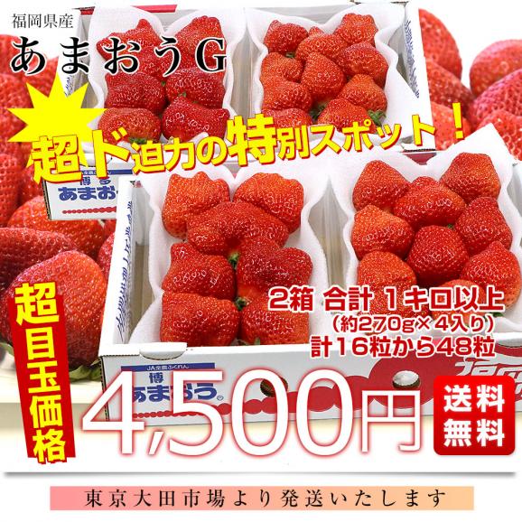 福岡県産 超盛りあまおう G たっぷり2箱 合計1キロ以上（約270g&times;4入り）計16粒から48粒 送料無料 アマオウ いちご 苺 イチゴ スポット03