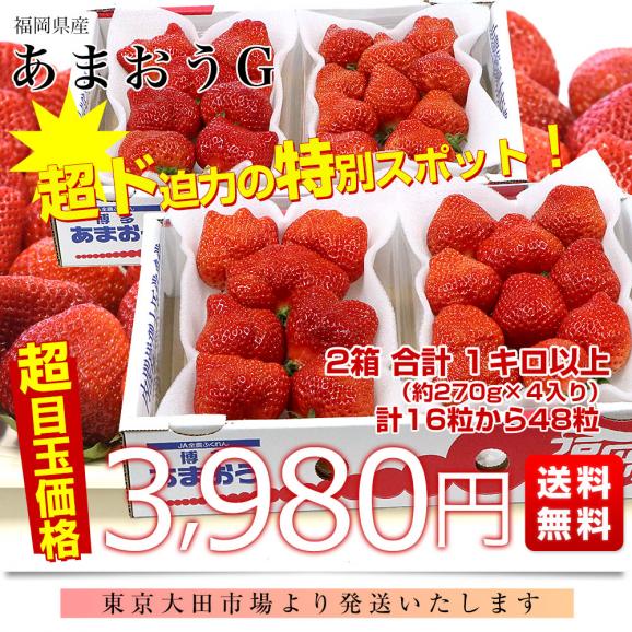 福岡県産 超盛りあまおう G たっぷり2箱 合計1キロ以上（約270g&times;4入り）計16粒から48粒 送料無料 アマオウ いちご 苺 イチゴ スポット03