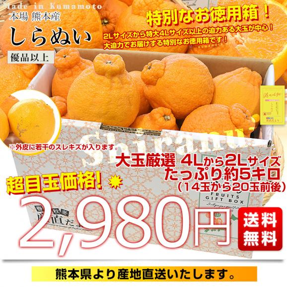 【家計応援価格!】熊本県から産地直送 熊本県産 しらぬい(不知火) 優品以上 4Lから2Lサイズ たっぷり約5キロ1箱(14玉から20玉前後) 送料無料 しらぬひ 柑橘03