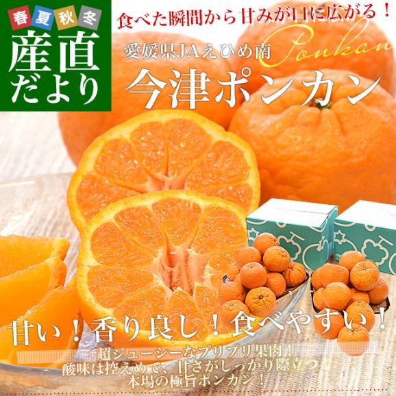 【家計応援価格！】愛媛県 JAえひめ南 今津ポンカン 優品以上 2LからMサイズ 約2.5キロ&times;2箱（合計30玉から45玉前後）送料無料 ぽんかん 柑橘02