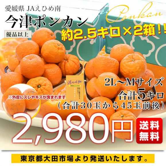 愛媛県 JAえひめ南 今津ポンカン 優品以上 2LからMサイズ 約2.5キロ&times;2箱（合計30玉から45玉前後）送料無料 ぽんかん 柑橘03