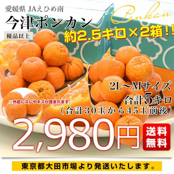 【家計応援価格！】愛媛県 JAえひめ南 今津ポンカン 優品以上 2LからMサイズ 約2.5キロ&times;2箱（合計30玉から45玉前後）送料無料 ぽんかん 柑橘03