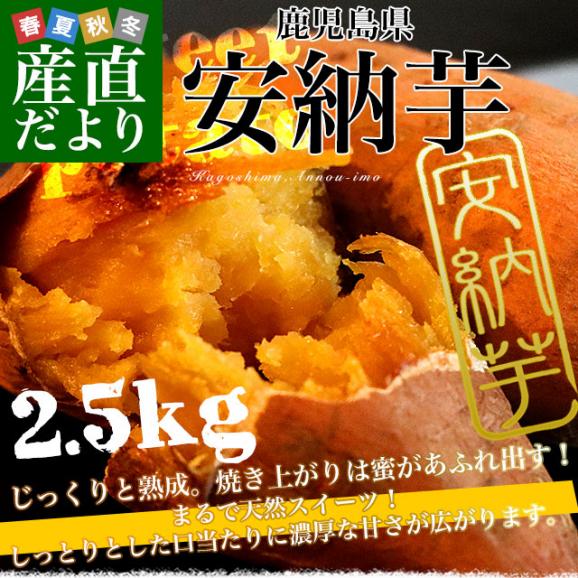 鹿児島県産 安納芋 LからSサイズ 2,5 kg 10本から15本前後 送料無料 さつまいも　サツマイモ 安納芋 種子島02