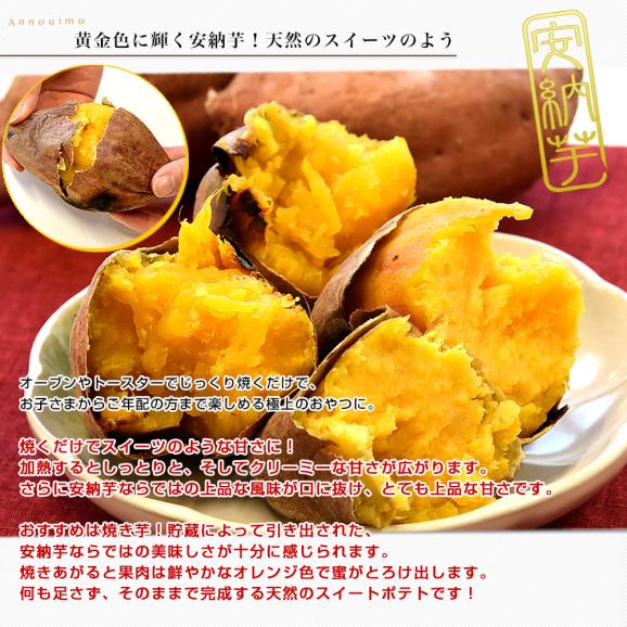 鹿児島県産 安納芋 LからSサイズ 5kg 20本から30本前後 送料無料 さつまいも　サツマイモ 安納芋 種子島06